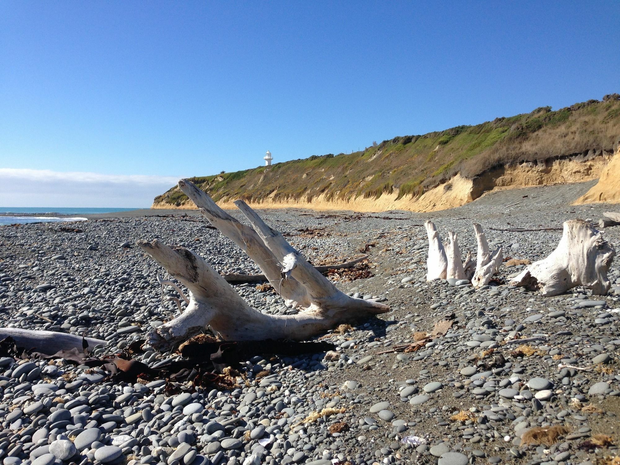 Glendeer Lodge Timaru Zewnętrze zdjęcie